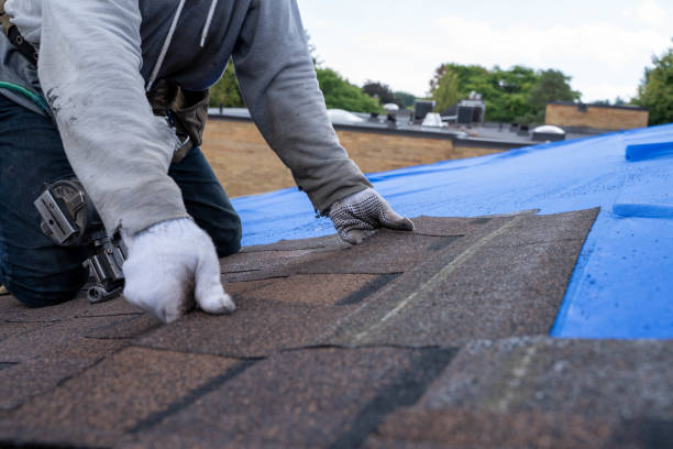 Best Roof Maintenance Services  in Ponchatou, LA